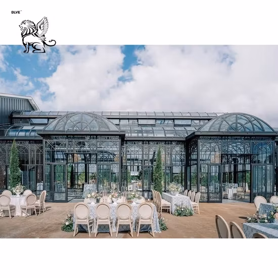 Gartengewächshaus/Glasgewächshaus/Wintergarten/Wintergarten/Pavillon